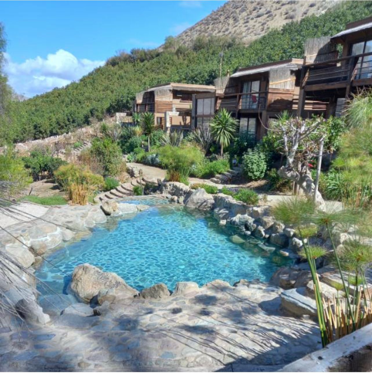 Piscina natural tipo laguna en ecolodge, agua turquesa y vegetación mediterránea