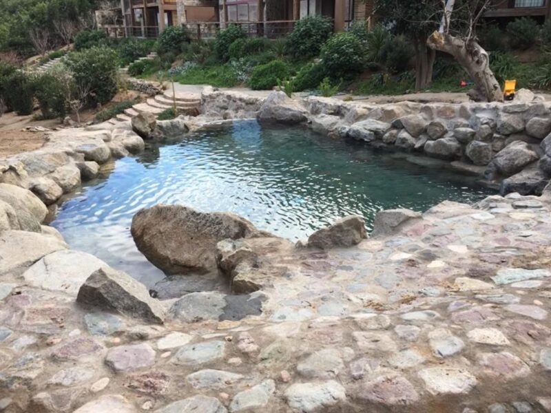 Piscina natural tipo laguna con piedra y agua verde, estilo costero rústico