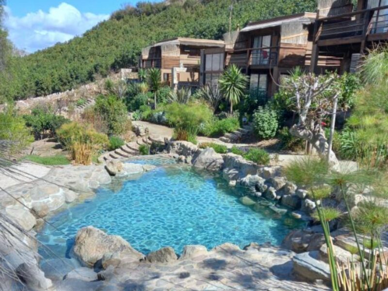 Piscina natural tipo laguna en ecolodge, agua turquesa y vegetación mediterránea